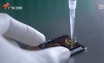 首页| 918博天堂集团中国官方网站