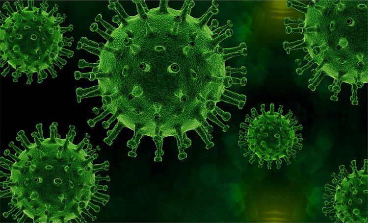 首页| 918博天堂集团中国官方网站